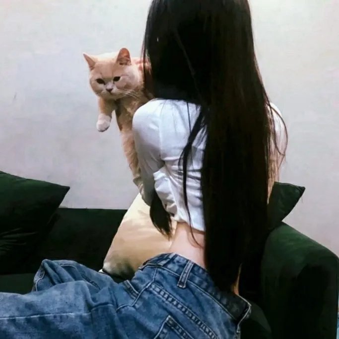 界线